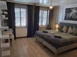 XXL Cosy apartments Villa Goisern, centre with mountain view