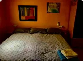 Casa con encanto 1y perritos