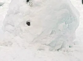 Gazdówka na Mosornym Groniu