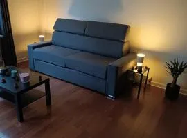 Superbe studio Lyon 3 avec chambre et balcon
