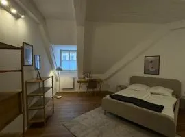BM Rooms Innenstadt - Große Moderne City Apartments mit eigenem Bad im Herzen der Stadt