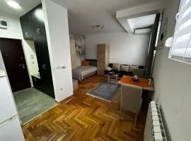 Altina Gottfried Studio