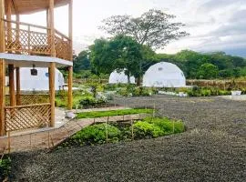 Nekoli Glamping - Riverside Domes with Mt Meru Views