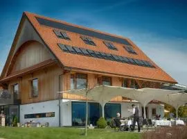 Hotel Friedheim Weggis