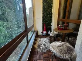 Winter Lotos Apartment Pamporovo