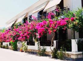 Hotel Angeliki, hotel near Folklore Museum of the Nikolaos Dimitriou Foundation of Samos, Ireon