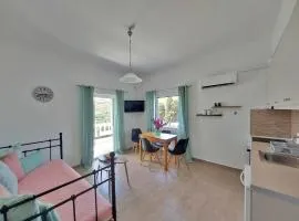 Dimitra's Pretty Apartment 4 klm away from Chora