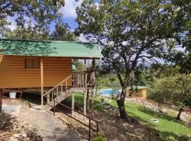 ENTREROBLES papamario