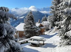 Master Bedroom - Verbier Chalet, lodge in Verbier