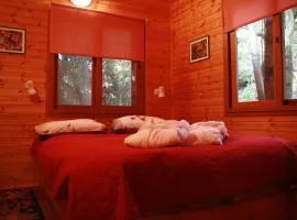 בית אמיתי מתת