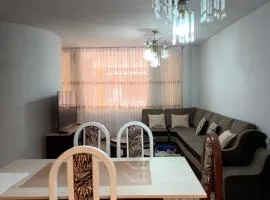 Amoblado primer piso estacionamiento