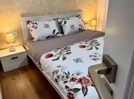 Signature Studio Arad