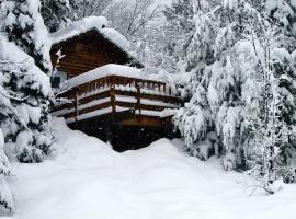 Chalets Aux Berges du Lac Castor, Hotel in Saint-Paulin