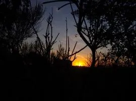 AmoVertecasadeveraneo