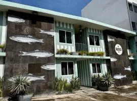 Mas Basico Hotel