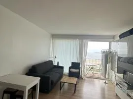 Le Baulnéaire, Vue Mer, Plage à Pied, Parking Privé