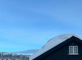 Family Cabin By The Ski Trails In Rauland, hótel í Seljord
