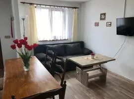 Beautiful, quiet apartment in the Boehm Switzerland