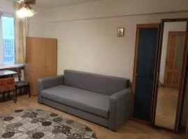 Downtown Studio Apartament