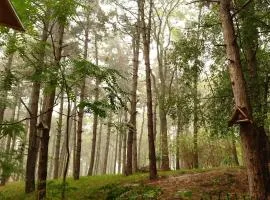 CityCenter Park-Side Work&Lodge