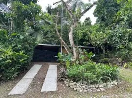 Cahuitas red frog house