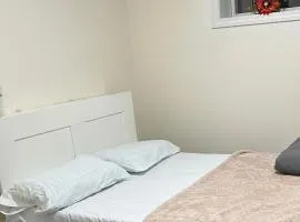 V SWIM Homestay Cozy Basement Rooms in Toronto