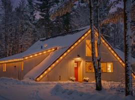 Stratton Ski Haus, Green Mountain Wellness Retreat, Hot Tub & Barrel Sauna, hotel en Jamaica