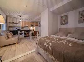 Lomavuokra Studio apartment A3, Levi Central, ski-in ski-out