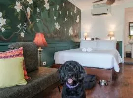 MiraNamin Nest CALACHUCHI - Cozy Room in Historic Home - Indoor Plunge Pool, Petite Desk, Garden View with Balcony, Self-Service Breakfast, Guest Kitchen, Rooftop, Pet-Friendly