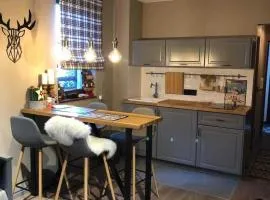 Apartman Stemaks, Kopaonik