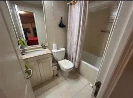 Departamento centro de Osorno