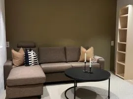 Cozy apartment by Mount Fløyen