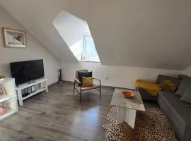 Apartmán - Café Princ pod Hradem WiFi, KLIMA