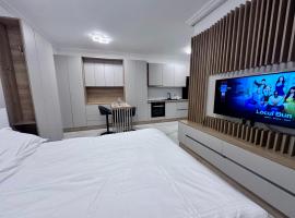 Ground Floor Studio, ξενοδοχείο σε Chişoda