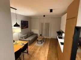 Apartament City Lights Szczecin