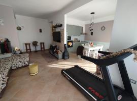 Mira Beach, hotel in Praia a Mare