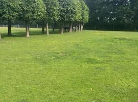 Alpaca Retreat for Wildlife Lovers near the New Forest and Dorset Coast