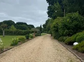 Alpaca Retreat for Wildlife Lovers near the New Forest and Dorset Coast