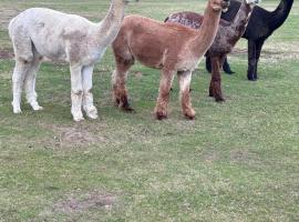 Luxury Self Catering Holiday Let with Hot Tub Dorset near the Coast – hotel w mieście Horton