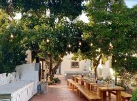 Rustic charm for groups at Orange Grove Farm
