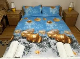 Garsonieră Brazda lui Novac