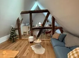 Renovated Alsatian house Maison Théless