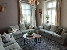 XXL Cosy apartments Villa Goisern, centre with mountain view