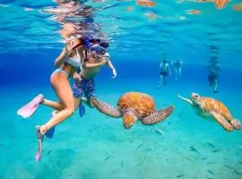 Sea Life Souvenirs & Tours