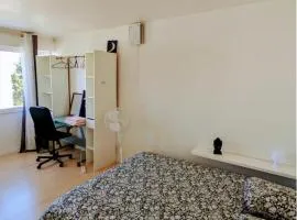 Chambre privée Anglet, Les iris