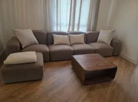 Sweet Dreams Olivares