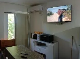 Departamento Ameghino