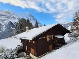 ABO - Boutique Apartment - Chalet Grindelwaldgletscher