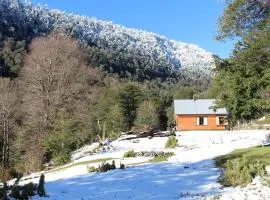 10 hectáreas de montaña con cabaña, senderos, saltos de agua y más