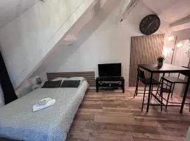 Studio cosy tout confort proche Cathédrale dans rue calme